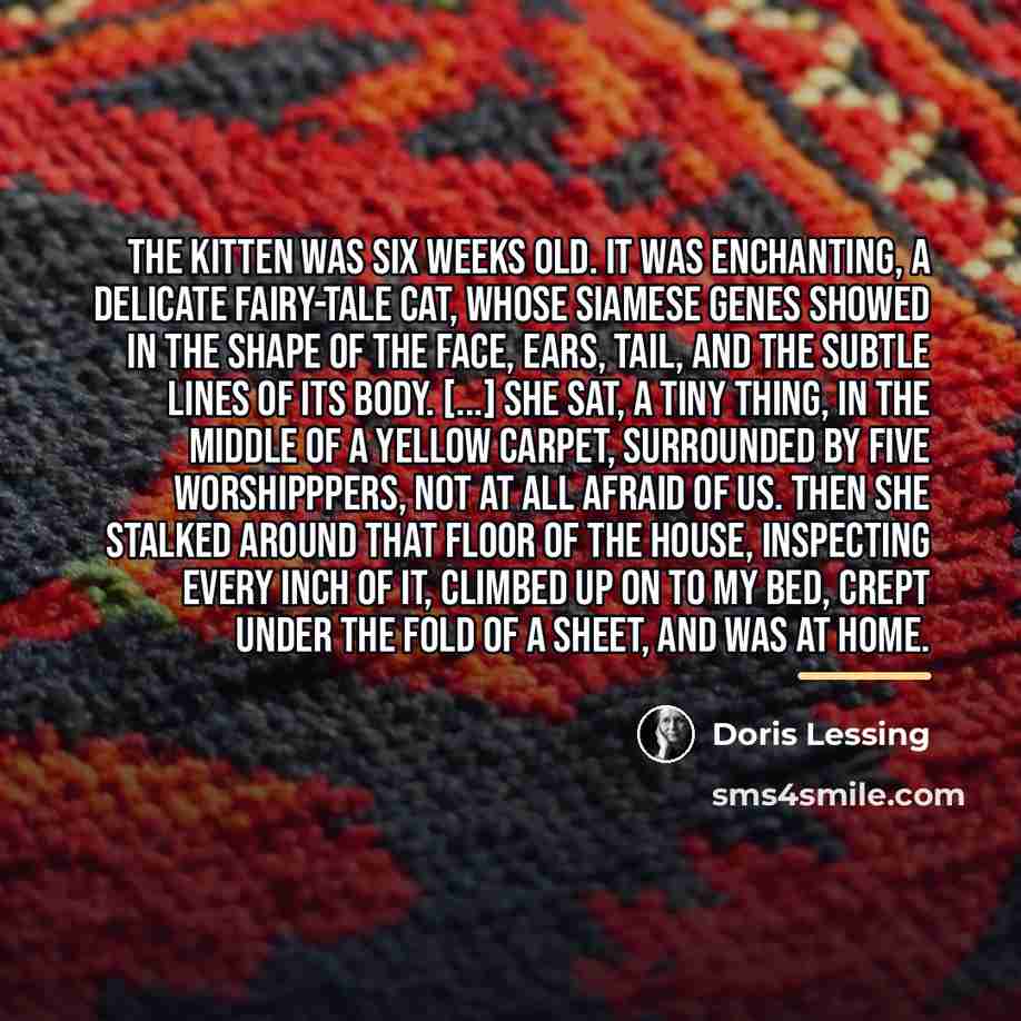 “The kitten was six weeks old. It was enchanting, a…” quote by Doris Lessing