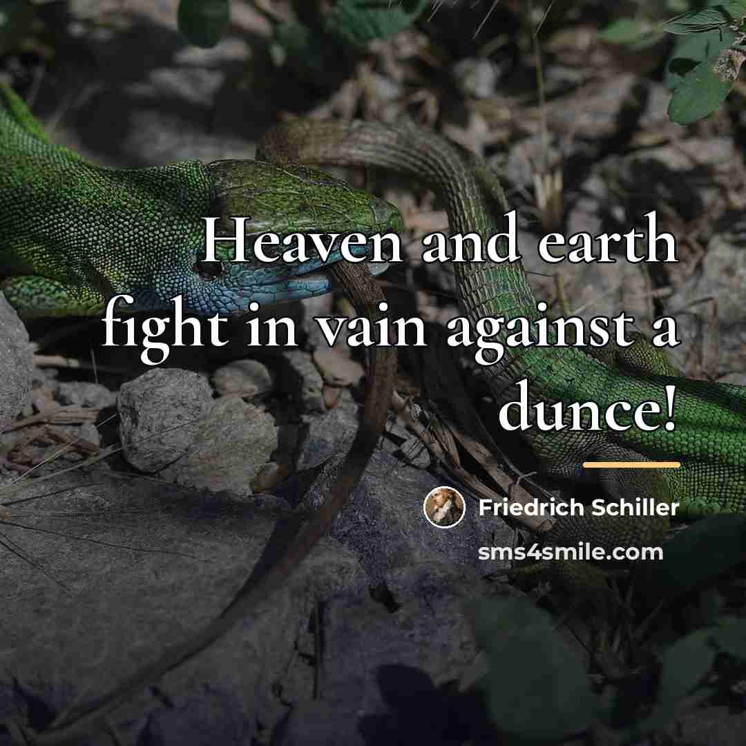 “Heaven and earth fight in vain against a dunce!…” quote by Friedrich Schiller