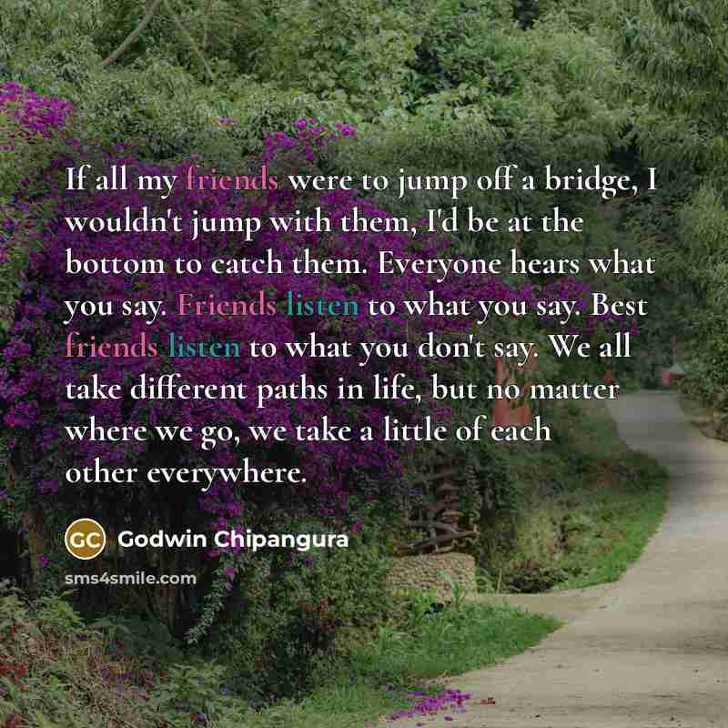 “If all my friends were to jump off a bridge, I wouldn't jump with them, I'd be at the bottom to catch them. Everyone hears what you say. Friends listen to what you say. Best friends listen to what you don't say. We all take different paths in life, but no matter where we go, we take a little of…” quote by Godwin Chipangura