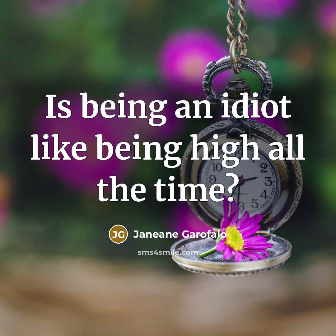 “Is being an idiot like being high all the time?…” quote by Janeane Garofalo