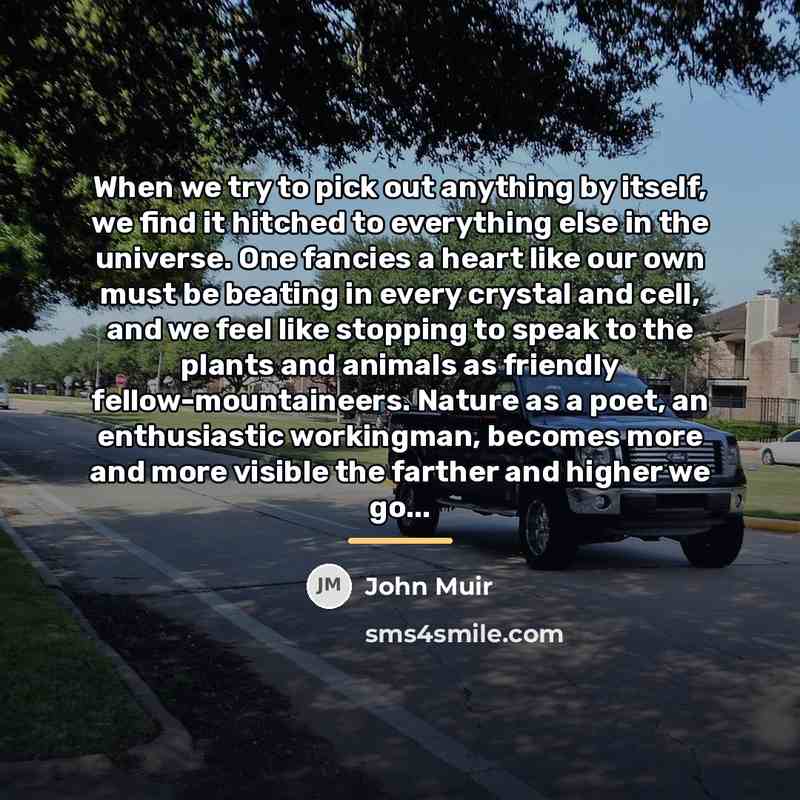 “When we try to pick out anything by itself, we…” quote by John Muir