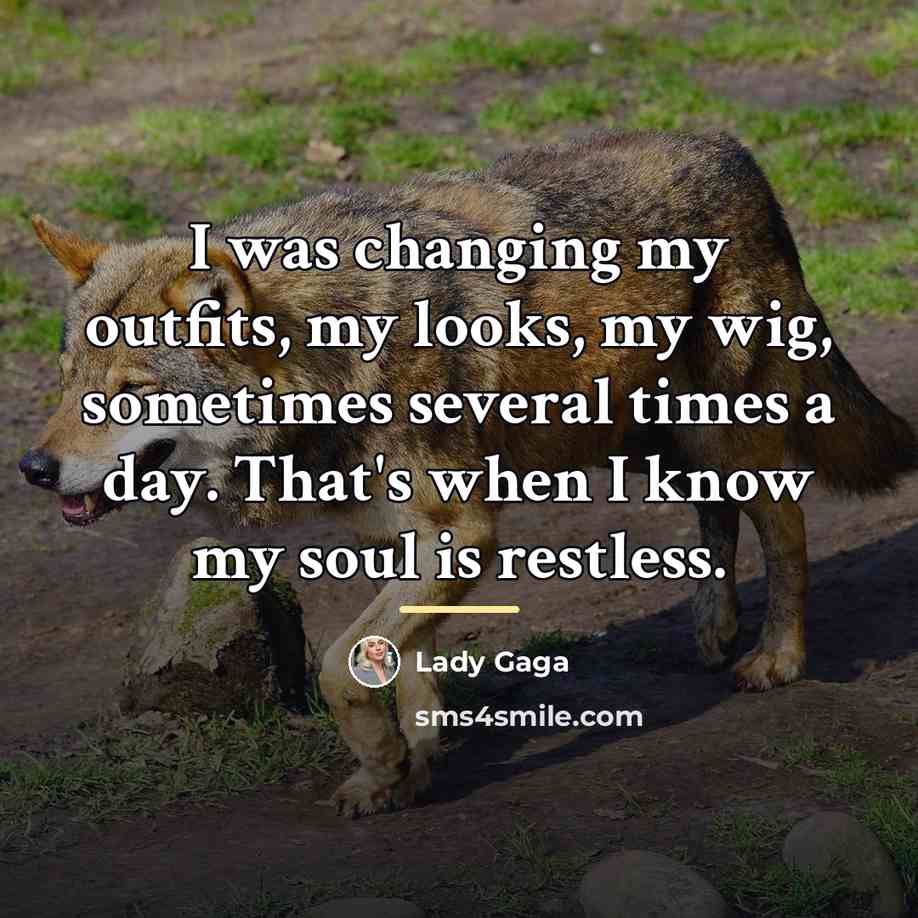 “I was changing my outfits, my looks, my wig, sometimes…” quote by Lady Gaga