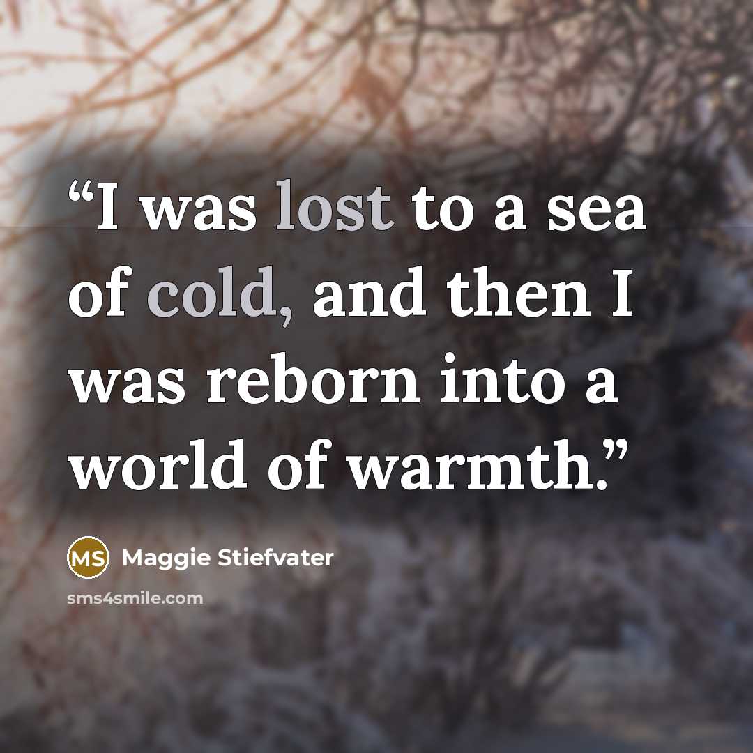 “I was lost to a sea of cold, and then I was reborn into a world of warmth.” quote by Maggie Stiefvater