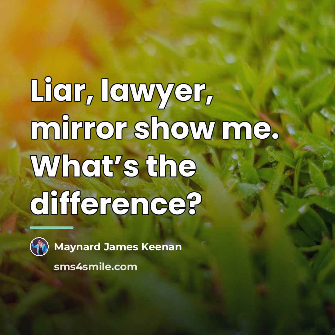“Liar, lawyer, mirror show me. What’s the difference?…” quote by Maynard James Keenan