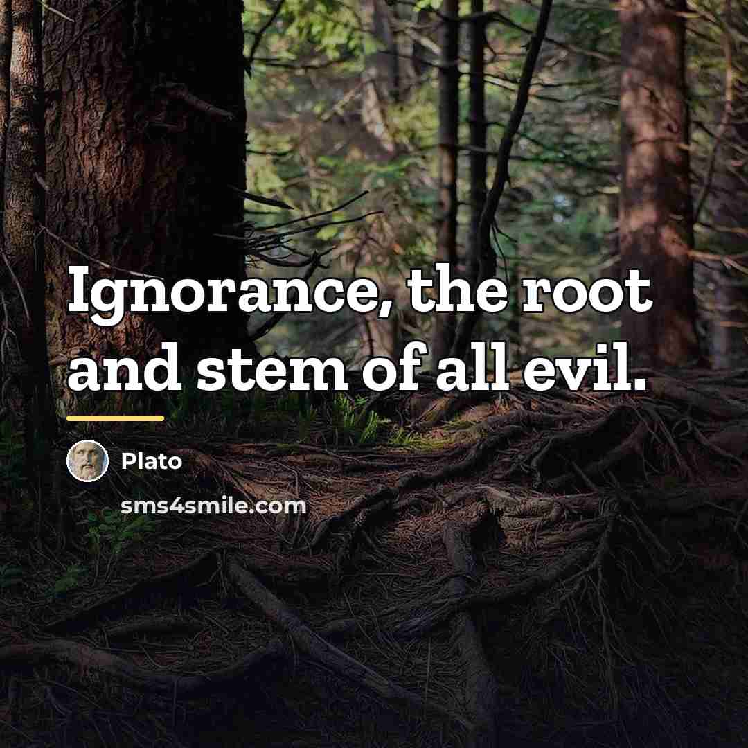 “Ignorance, the root and stem of all evil.…” quote by Plato