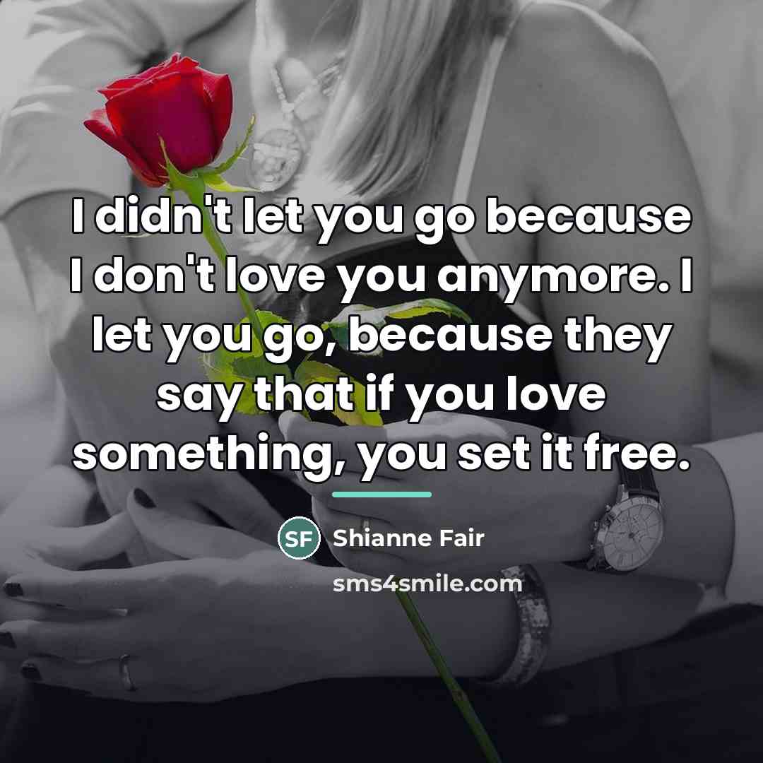 “I didn't let you go because I don't love you…” quote by Shianne Fair