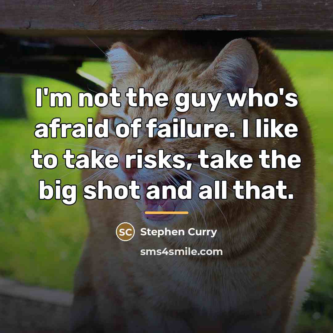 “I'm not the guy who's afraid of failure. I like…” quote by Stephen Curry
