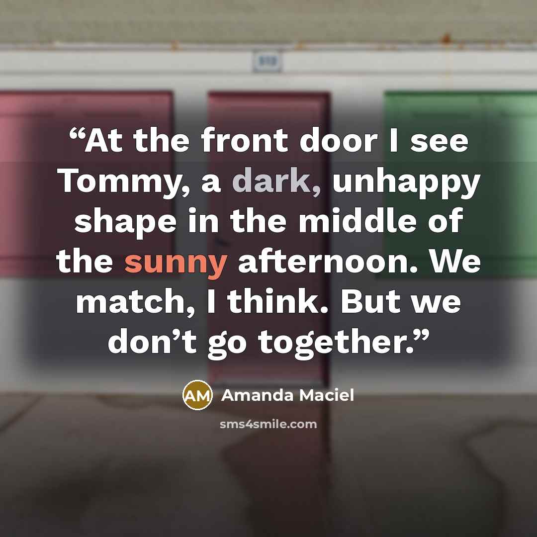 “At the front door I see Tommy, a dark, unhappy shape in the middle of the sunny afternoon. We match, I think. But we don’t go together.” quote by Amanda Maciel