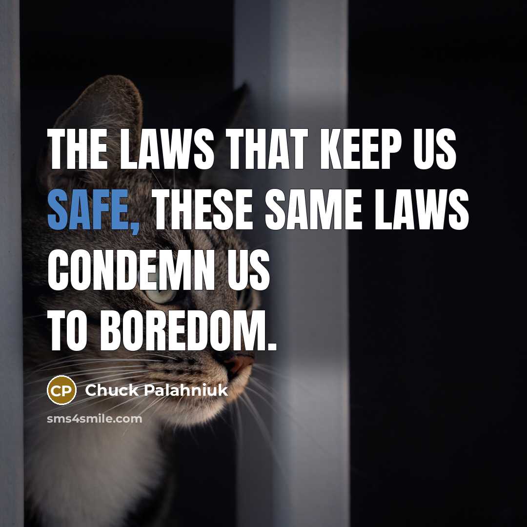 “The laws that keep us safe, these same laws condemn…” quote by Chuck Palahniuk