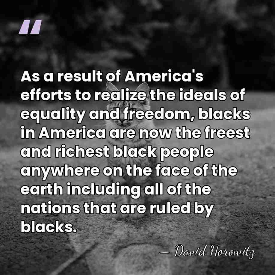 As a result of America's efforts to realize the ideals of equality&hellip; - David Horowitz