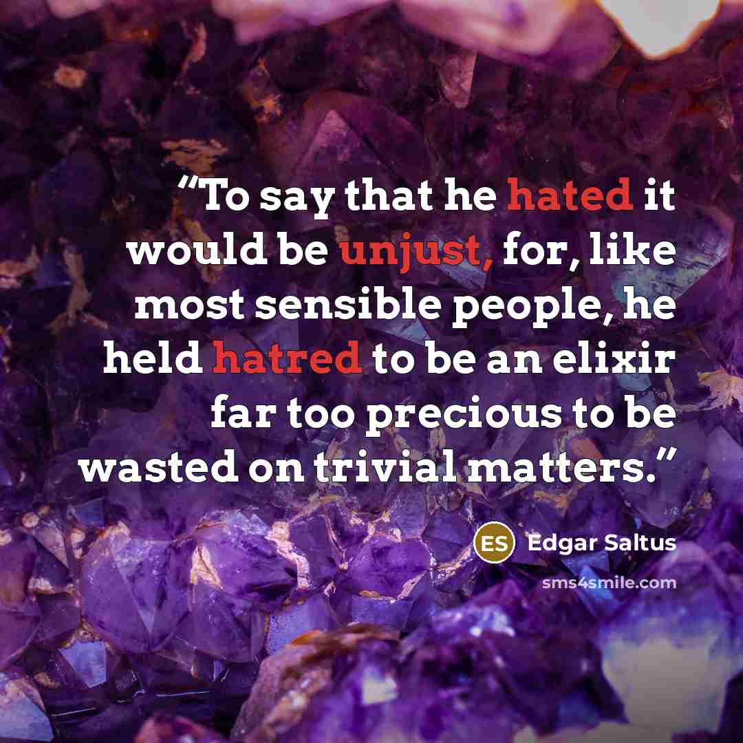 “To say that he hated it would be unjust, for, like most sensible people, he held hatred to be an elixir far too precious to be wasted on trivial matters.” quote by Edgar Saltus