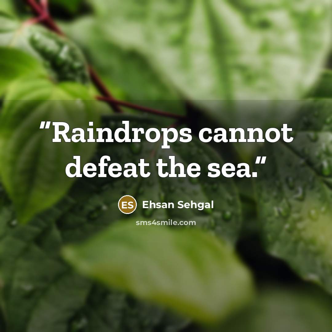 “Raindrops cannot defeat the sea.” quote by Ehsan Sehgal