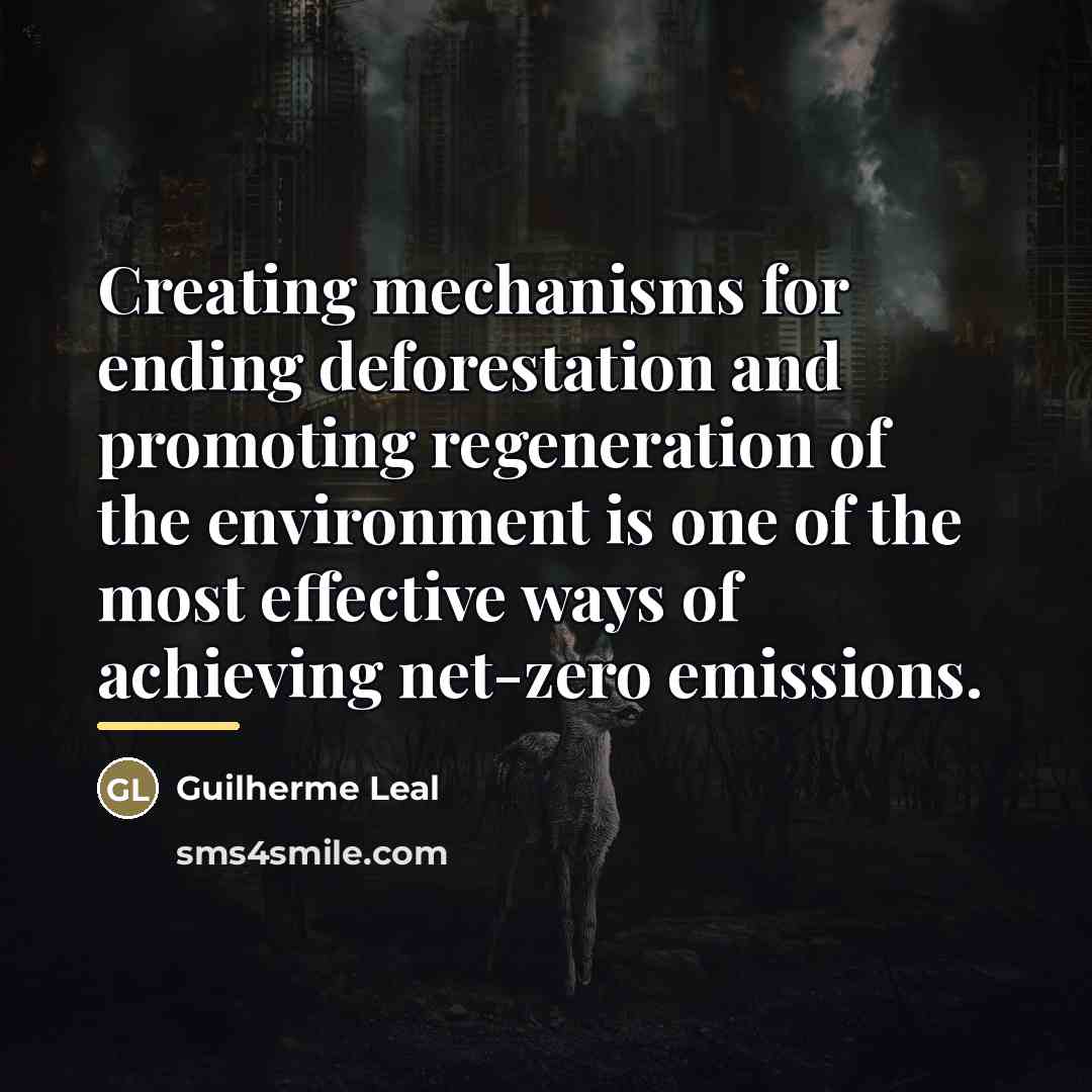 “Creating mechanisms for ending deforestation and promoting regeneration of the…” quote by Guilherme Leal