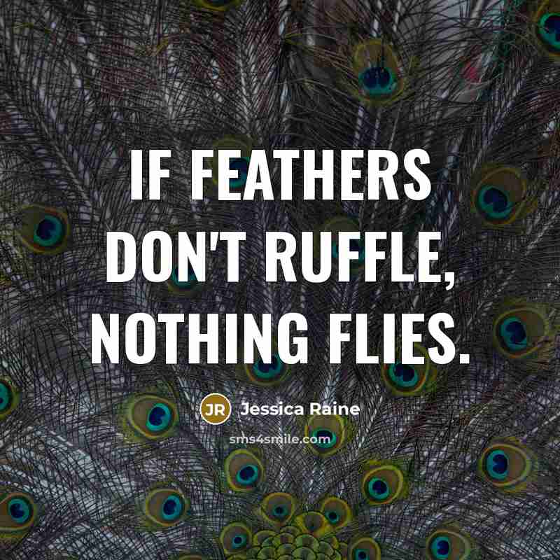 “If feathers don't ruffle, nothing flies.…” quote by Jessica Raine