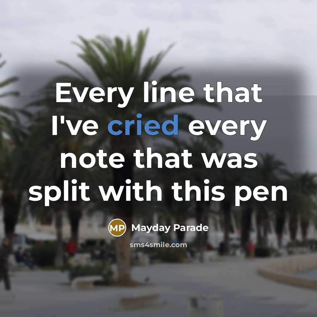 “Every line that I've cried every note that was split with this pen” quote by Mayday Parade