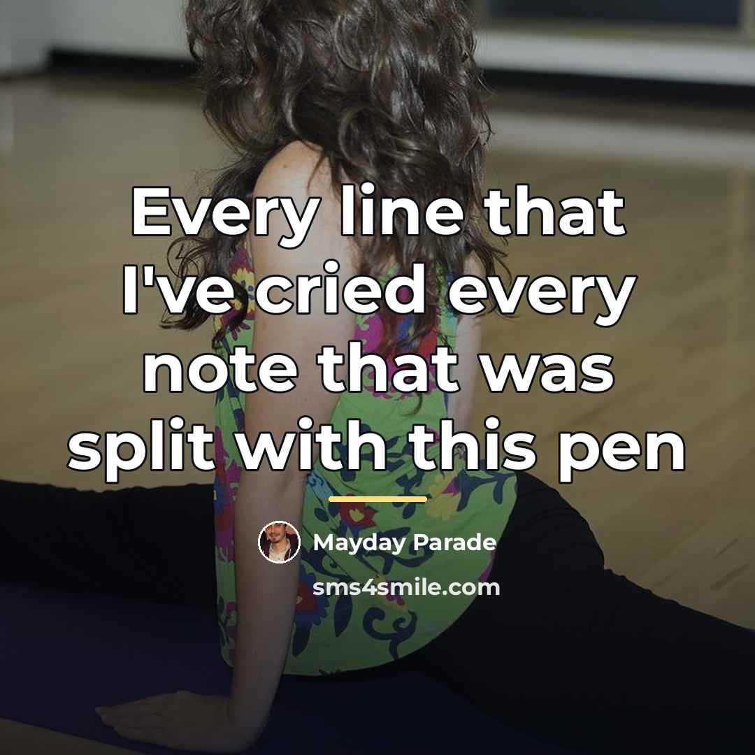 “Every line that I've cried every note that was split…” quote by Mayday Parade