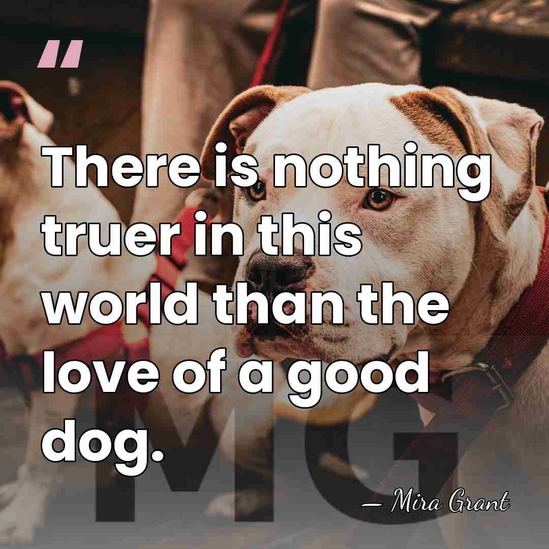 There is nothing truer in this world than the love of a&hellip; - Mira Grant