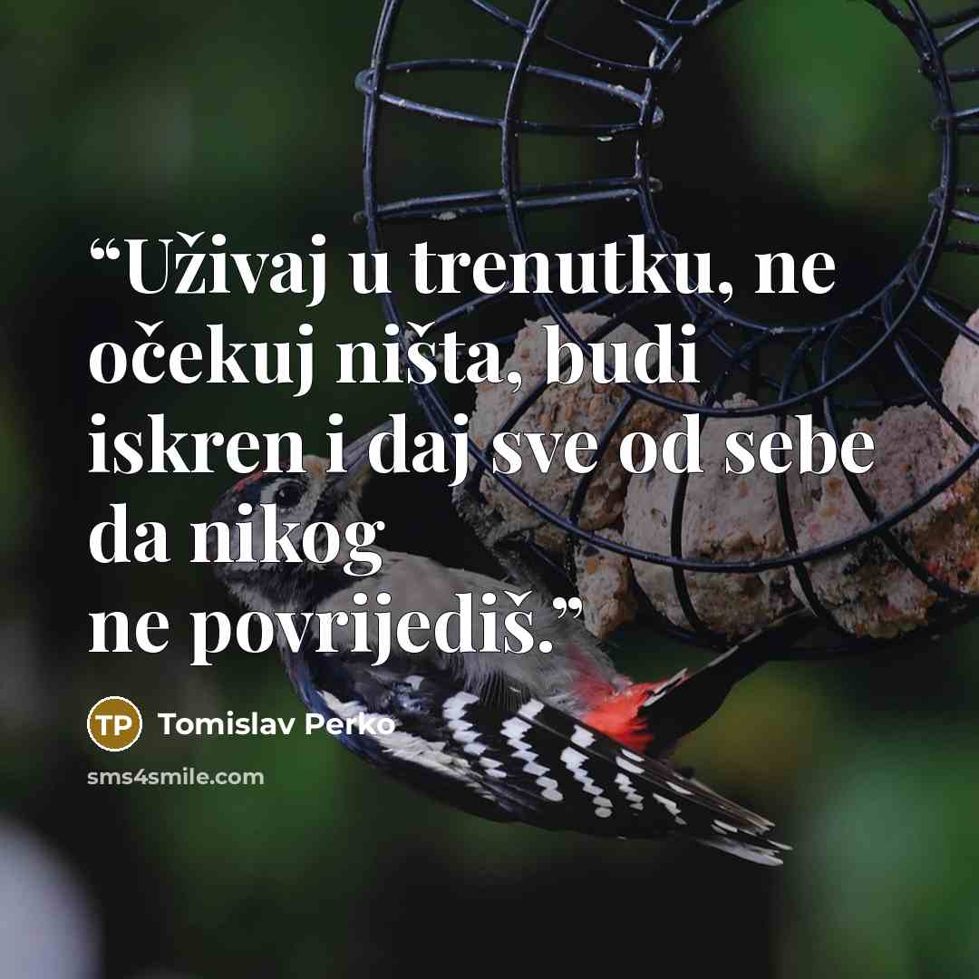 “Uživaj u trenutku, ne očekuj ništa, budi iskren i daj sve od sebe da nikog ne povrijediš.” quote by Tomislav Perko