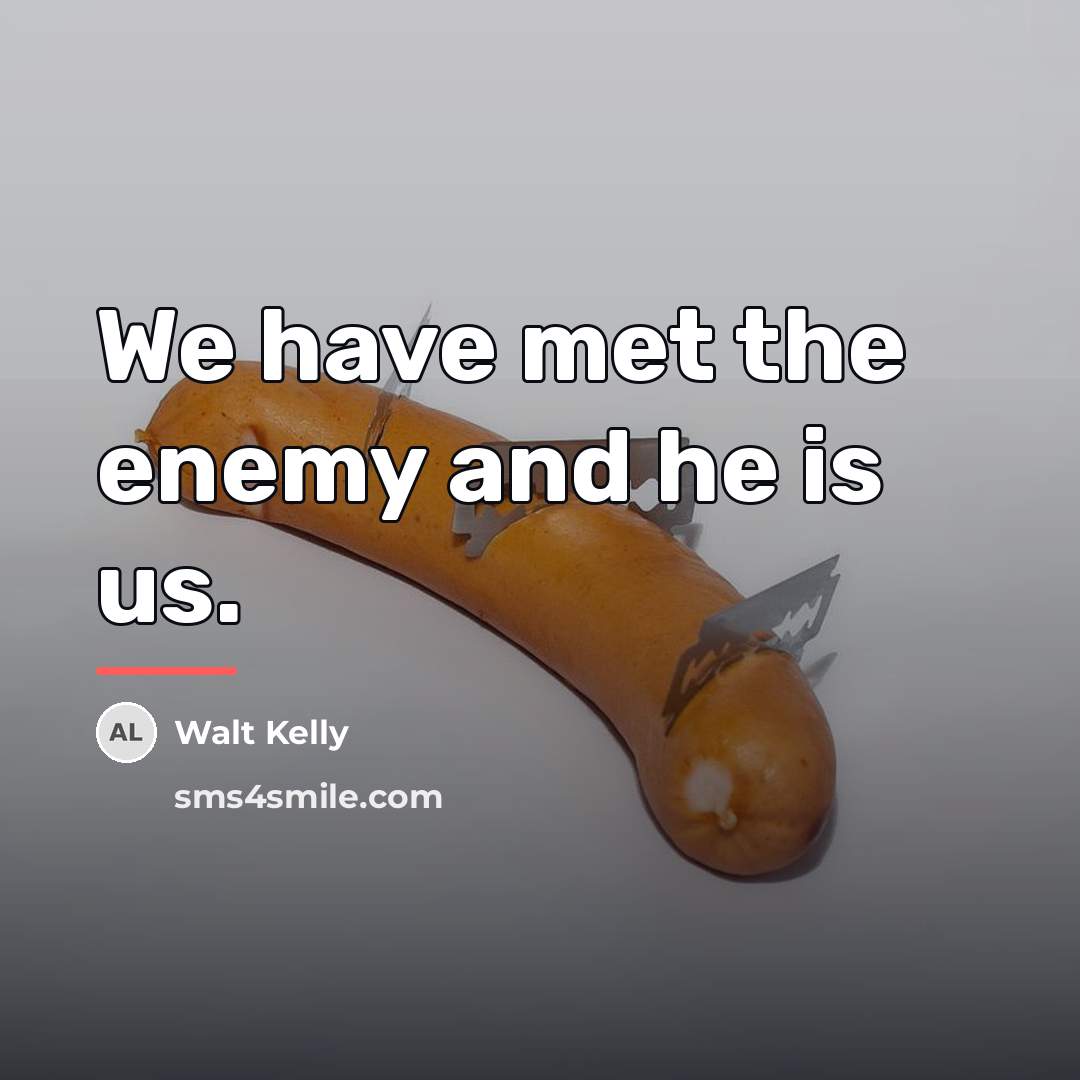 “We have met the enemy and he is us.…” quote by Walt Kelly