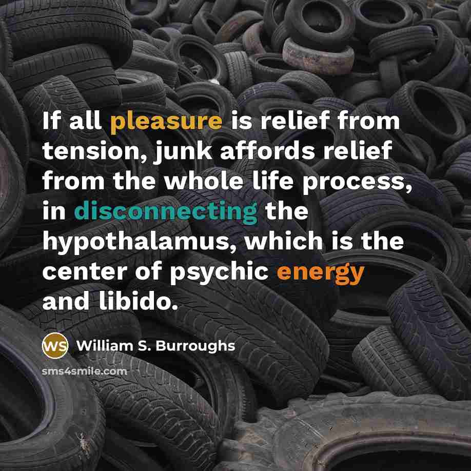 “If all pleasure is relief from tension, junk affords relief…” quote by William S. Burroughs