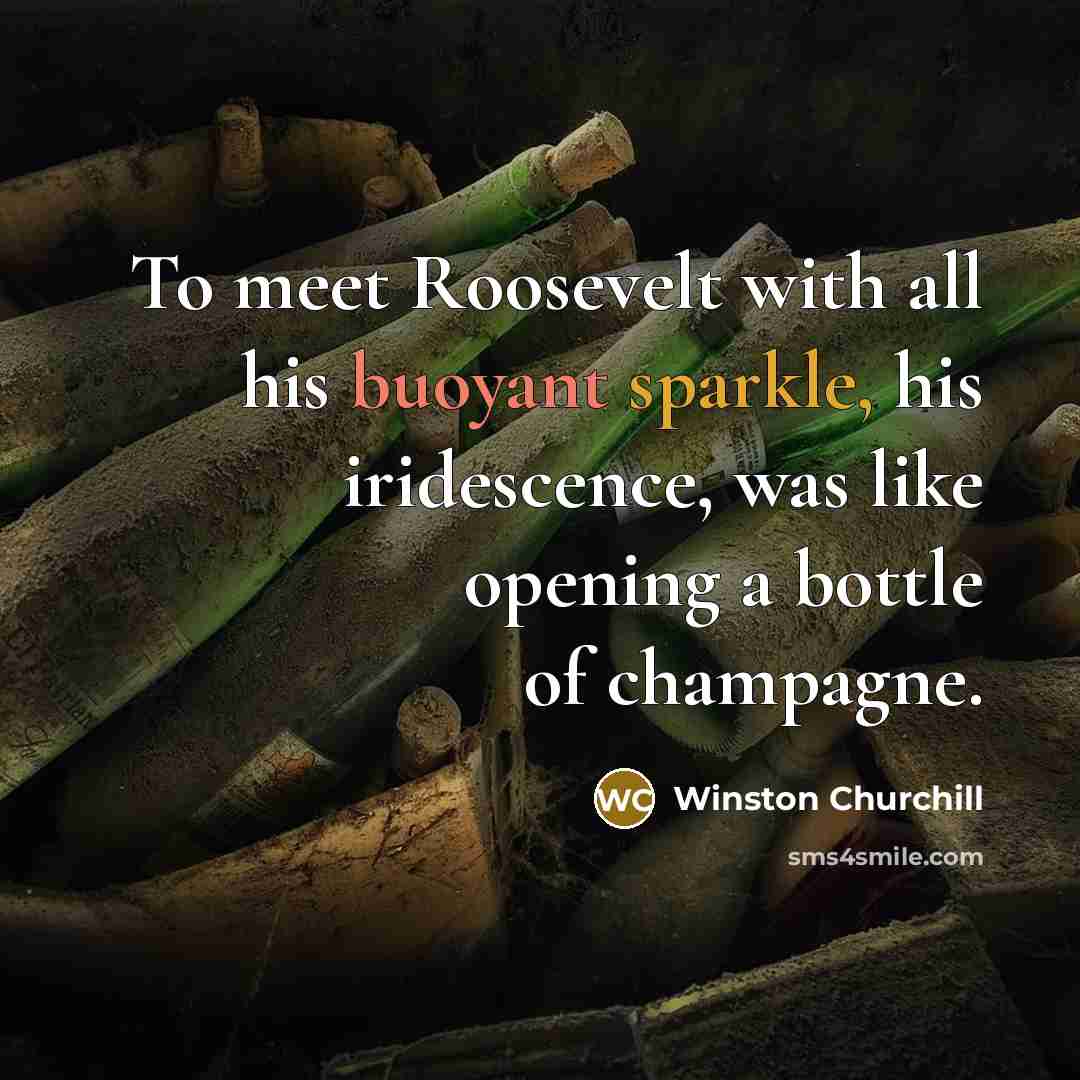 “To meet Roosevelt with all his buoyant sparkle, his iridescence,…” quote by Winston Churchill