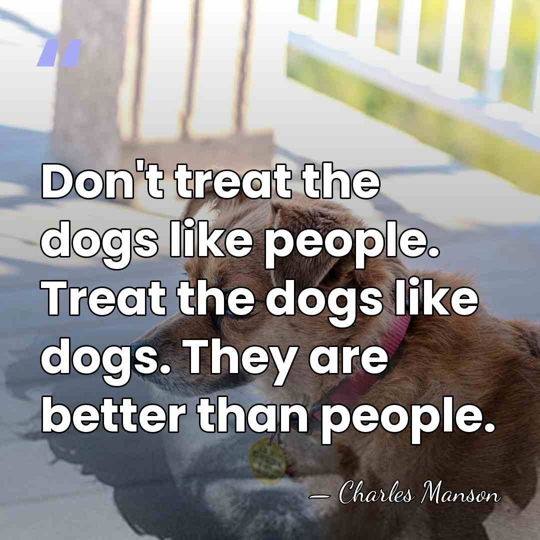 Don't treat the dogs like people. Treat the dogs like dogs. They&hellip; - Charles Manson