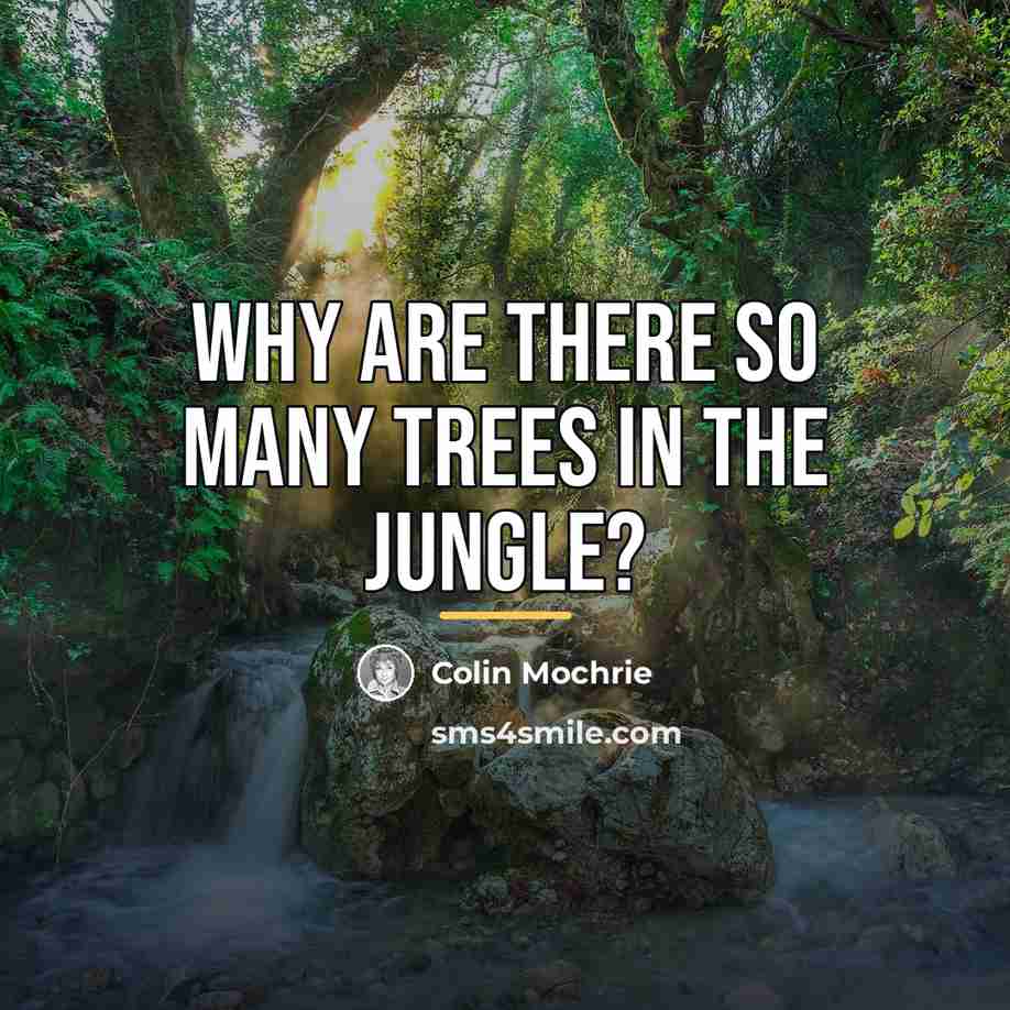 “Why are there so many trees in the jungle?…” quote by Colin Mochrie