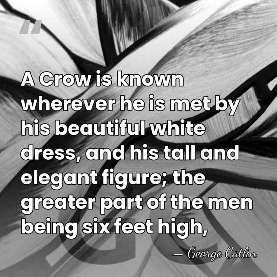 A Crow is known wherever he is met by his beautiful white&hellip; - George Catlin