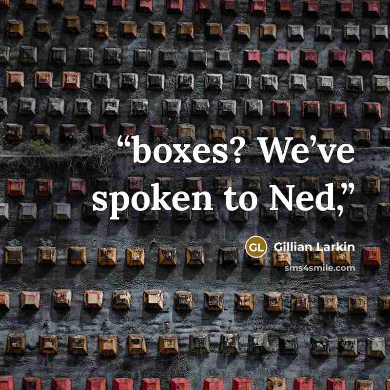 “boxes? We’ve spoken to Ned,” quote by Gillian Larkin
