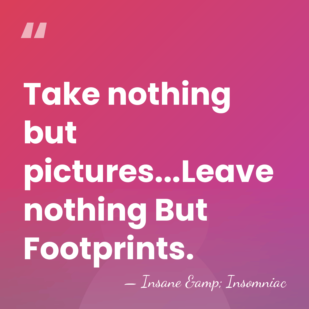 Take nothing but pictures...Leave nothing But Footprints. - Insane & Insomniac