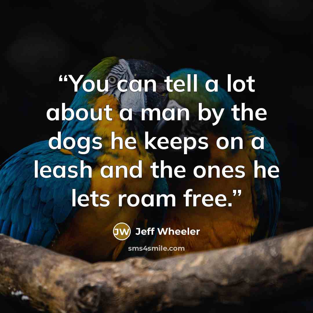 “You can tell a lot about a man by the dogs he keeps on a leash and the ones he lets roam free.” quote by Jeff Wheeler