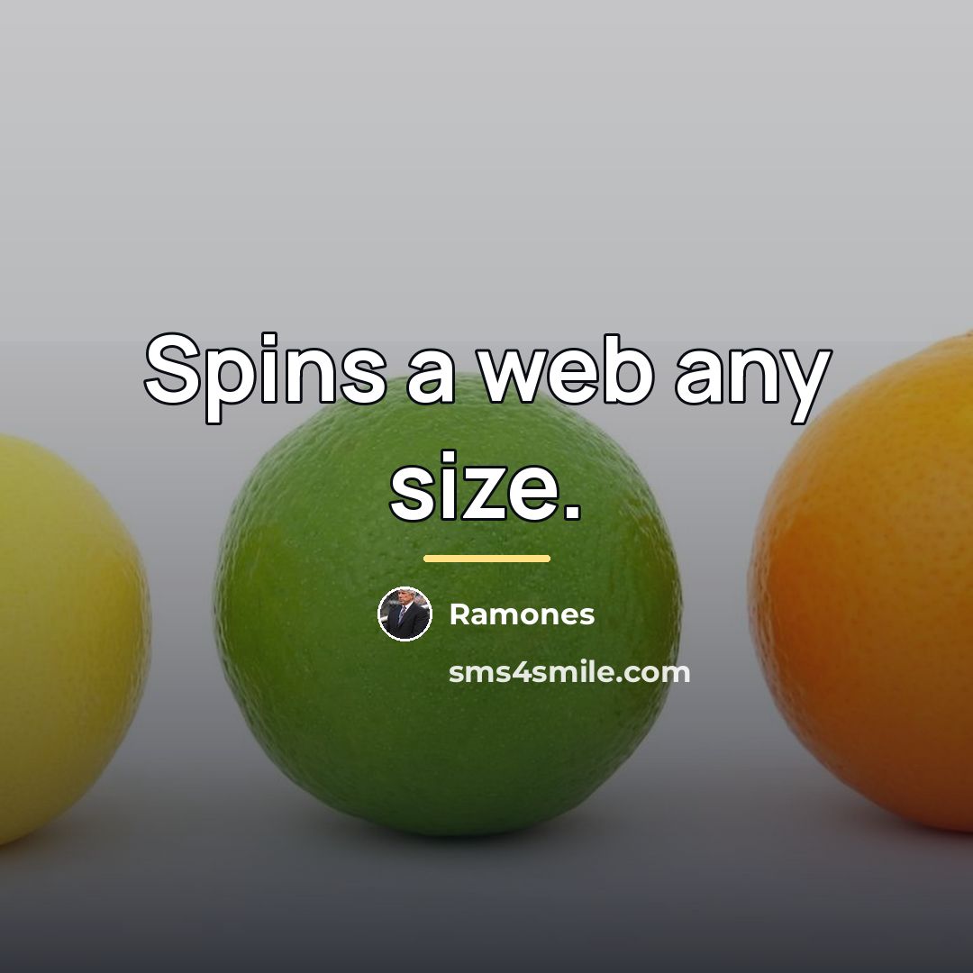“Spins a web any size.…” quote by Ramones