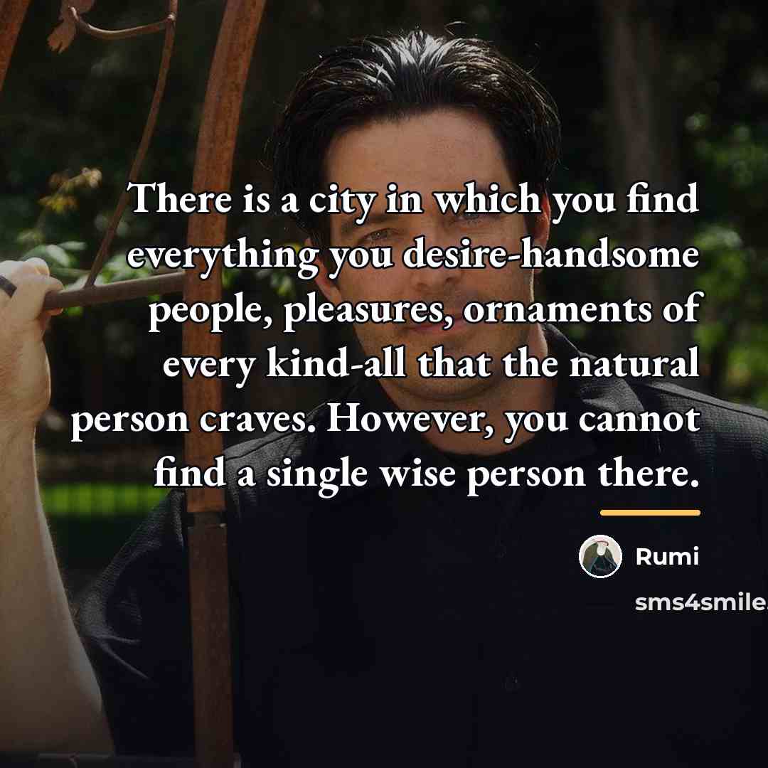 “There is a city in which you find everything you…” quote by Rumi