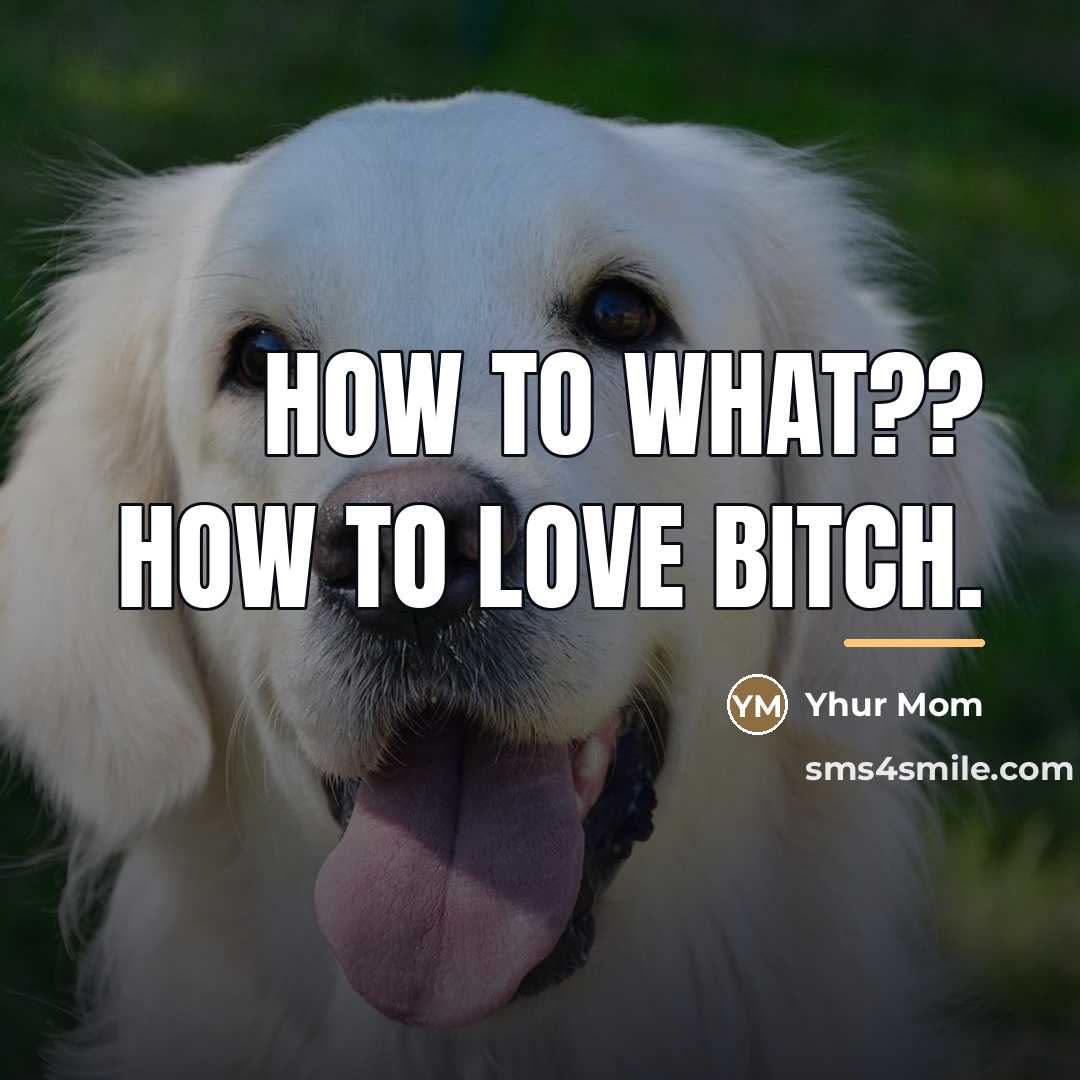 “How To What?? How To Love Bitch.…” quote by Yhur Mom
