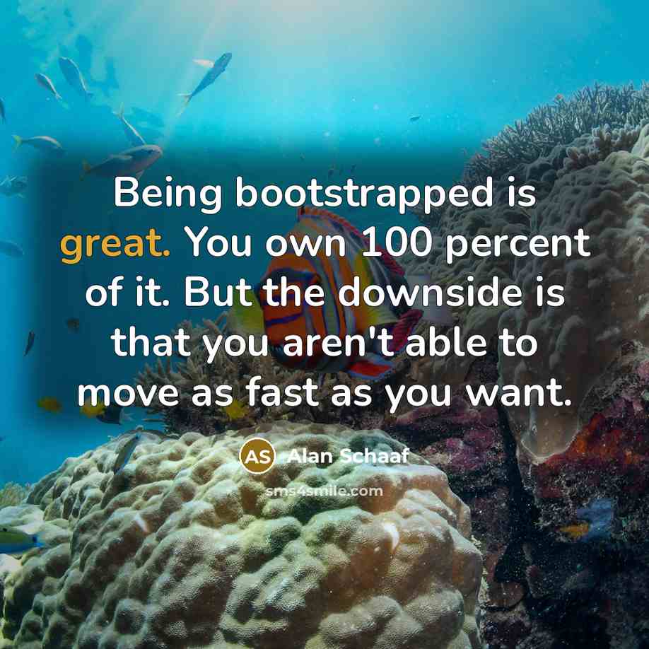 “Being bootstrapped is great. You own 100 percent of it.…” quote by Alan Schaaf
