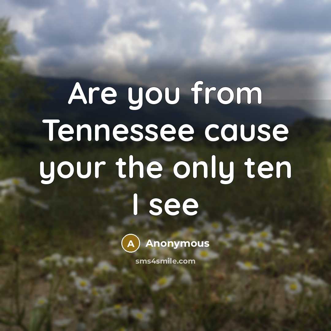 “Are you from Tennessee cause your the only ten I see” quote by Anonymous