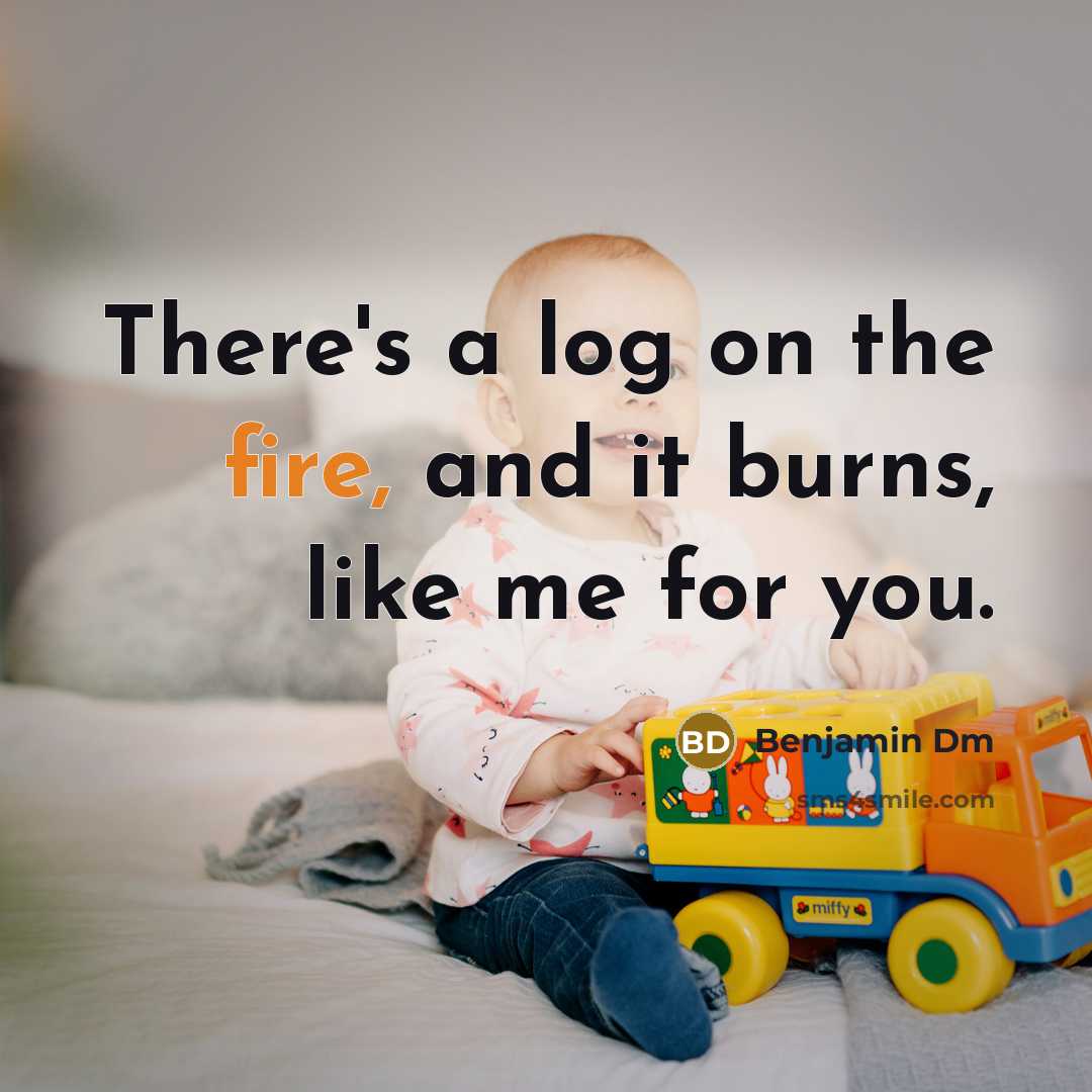 “There's a log on the fire, and it burns, like me for you.” quote by Benjamin Dm