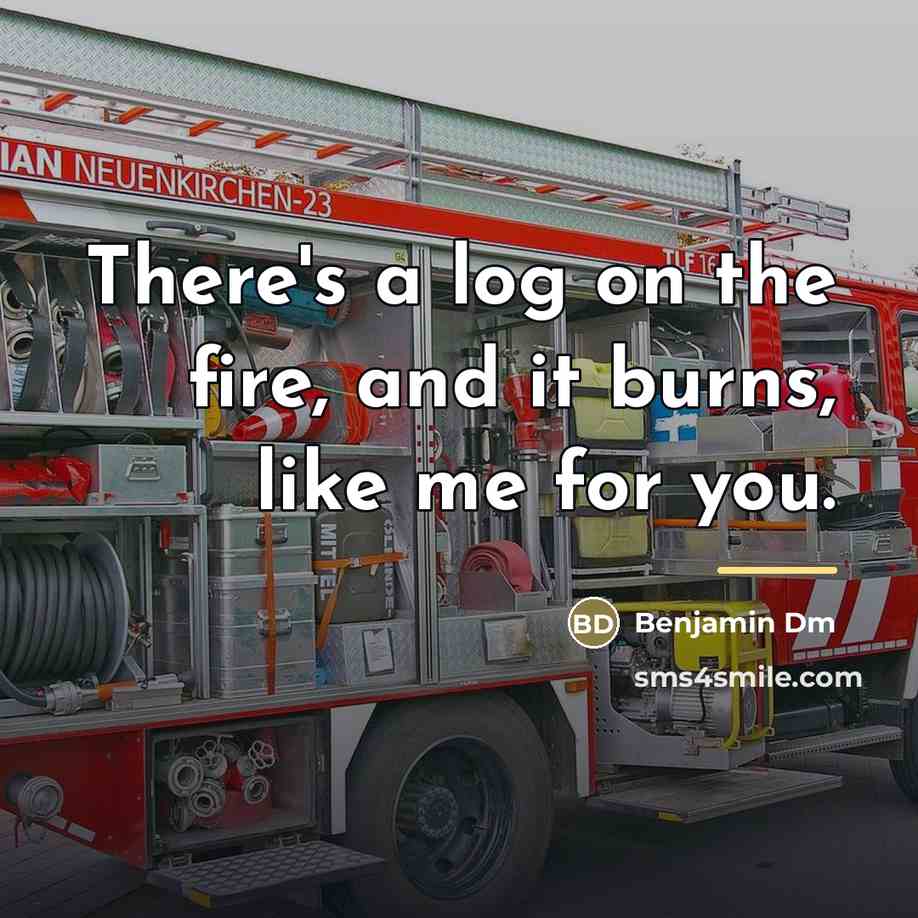 “There's a log on the fire, and it burns, like…” quote by Benjamin Dm