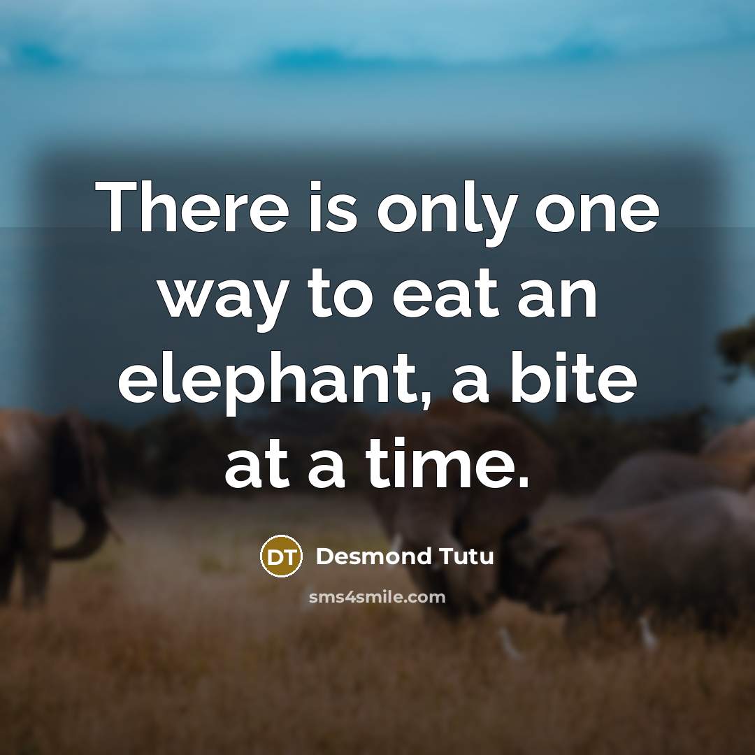 “There is only one way to eat an elephant, a…” quote by Desmond Tutu