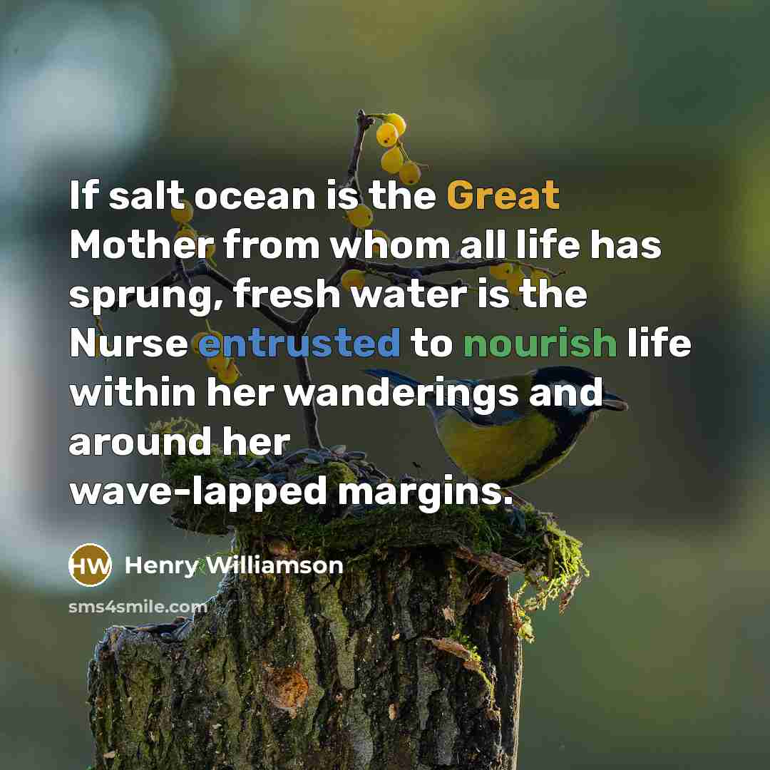 “If salt ocean is the Great Mother from whom all…” quote by Henry Williamson