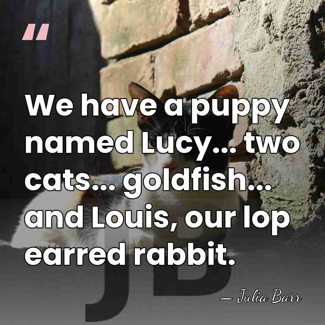 We have a puppy named Lucy... two cats... goldfish... and Louis, our&hellip; - Julia Barr