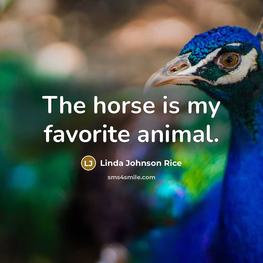 “The horse is my favorite animal.…” quote by Linda Johnson Rice