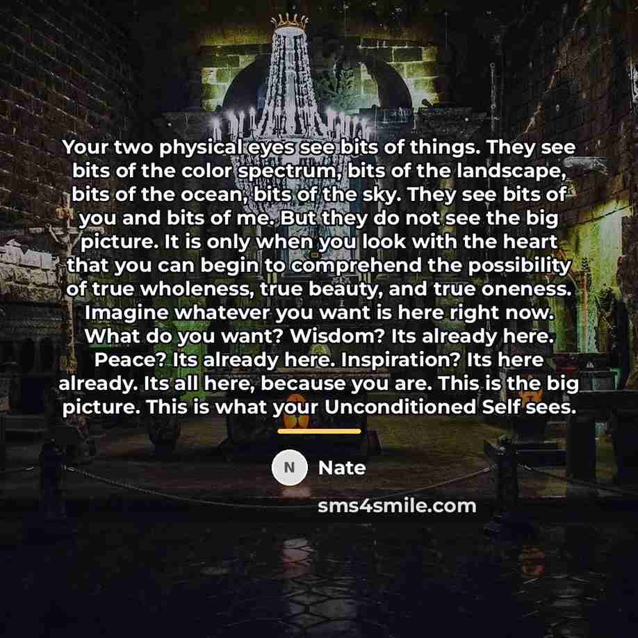 “Your two physical eyes see bits of things. They see…” quote by Nate