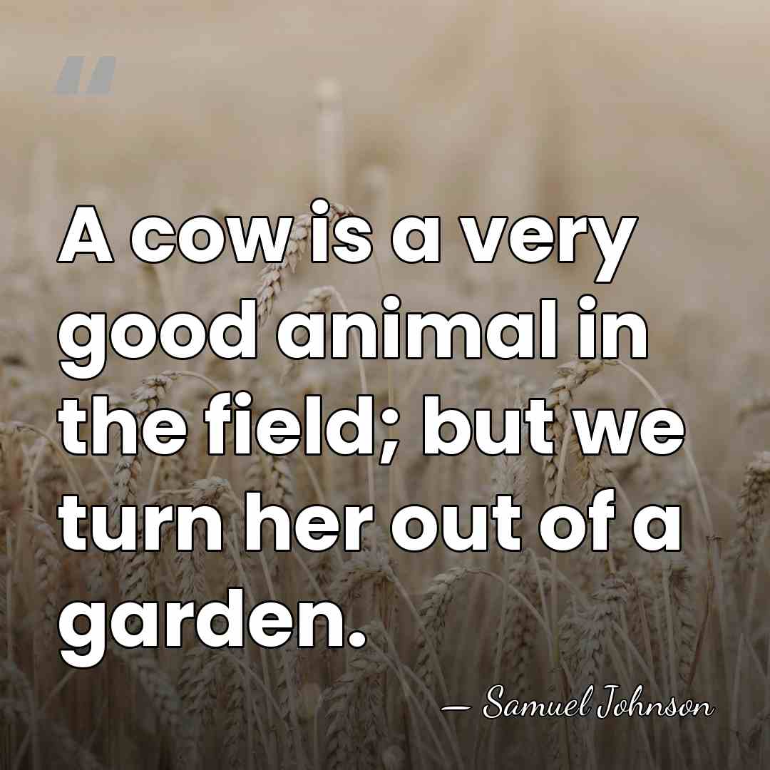 A cow is a very good animal in the field; but we&hellip; - Samuel Johnson