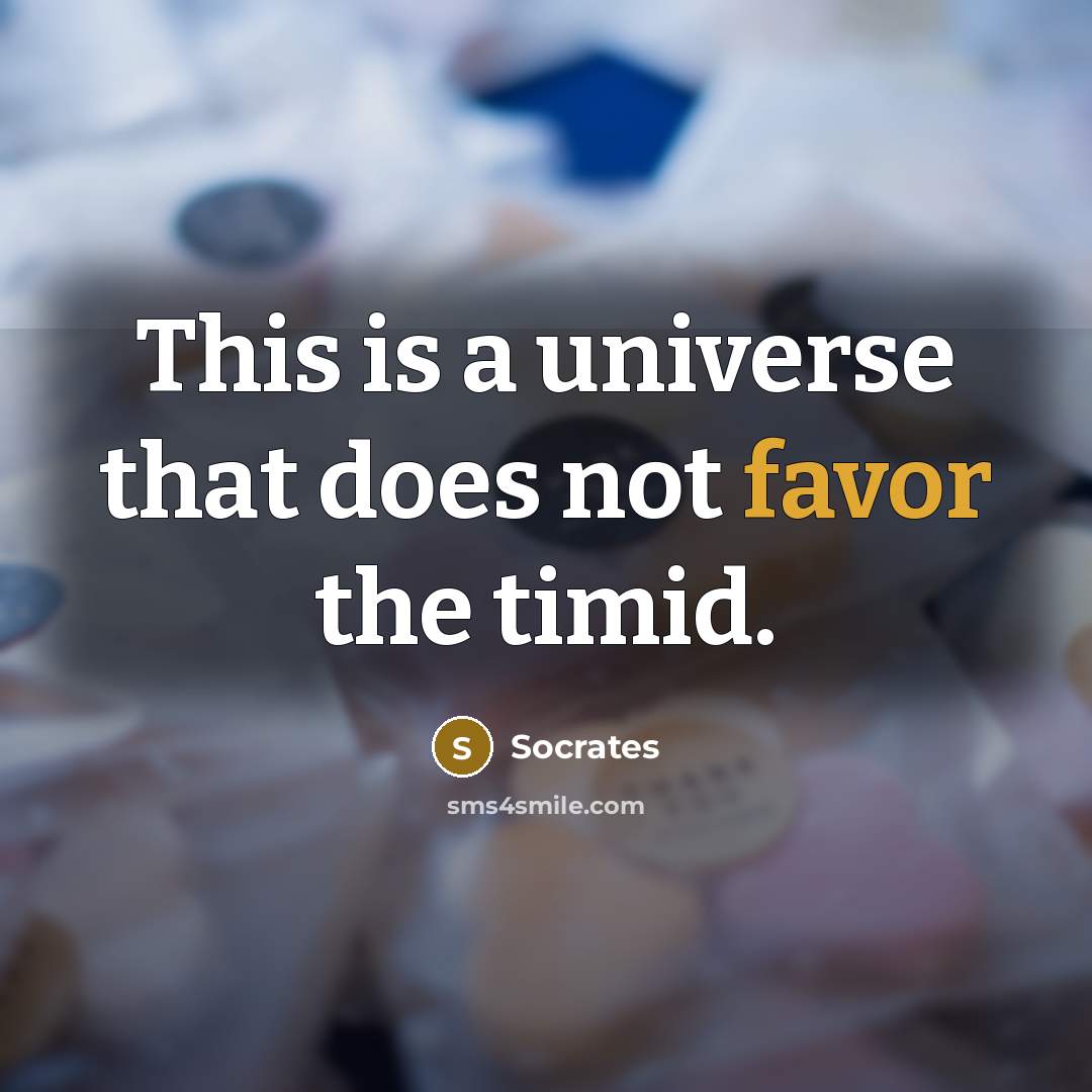 “This is a universe that does not favor the timid.…” quote by Socrates
