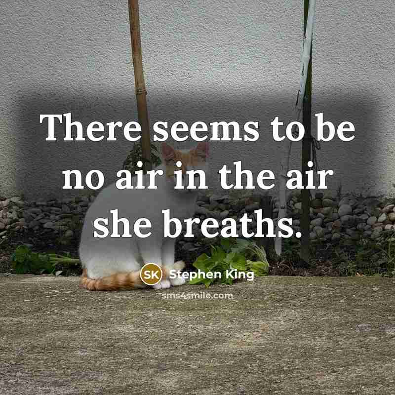“There seems to be no air in the air she…” quote by Stephen King