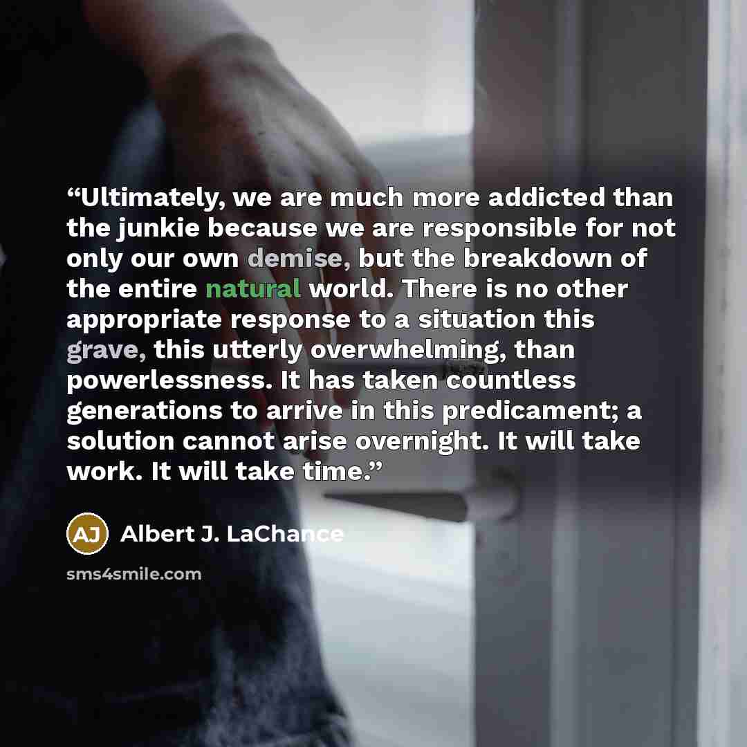 “Ultimately, we are much more addicted than the junkie because we are responsible for not only our own demise, but the breakdown of the entire natural world. There is no other appropriate response to a situation this grave, this utterly overwhelming, than powerlessness. It has taken countless…” quote by Albert J. LaChance
