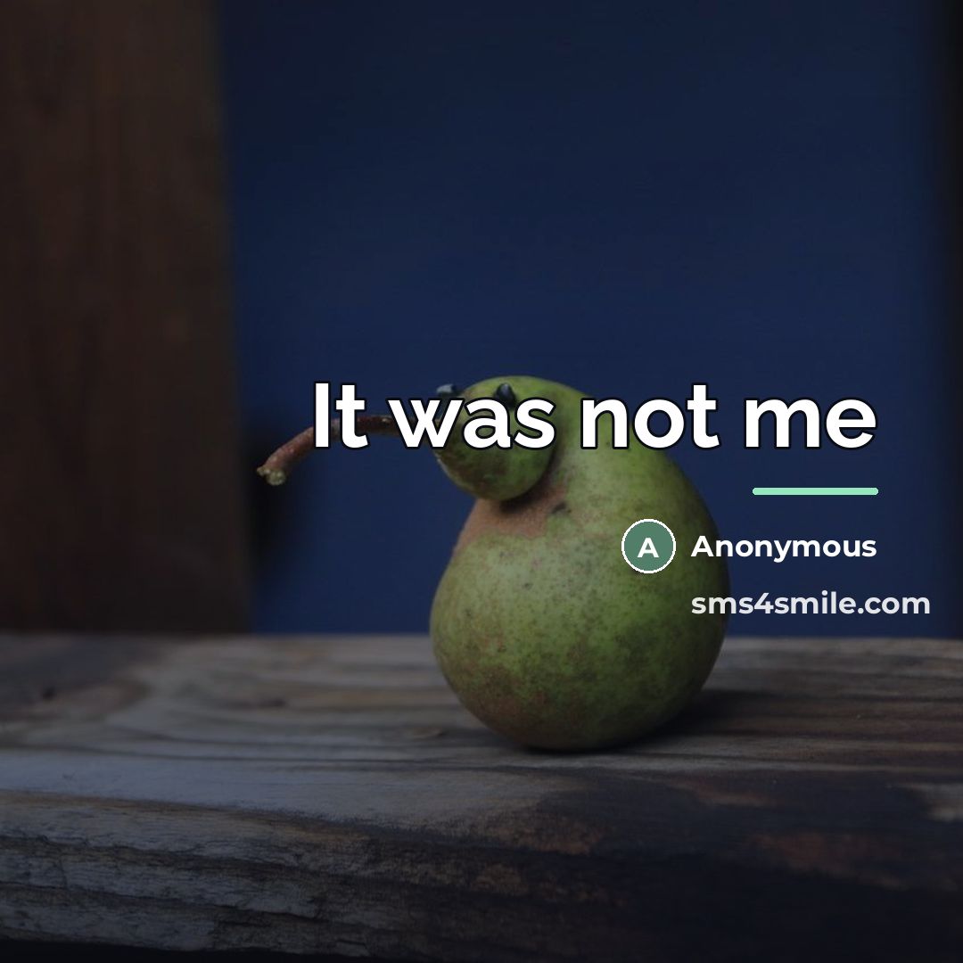 “It was not me…” quote by Anonymous