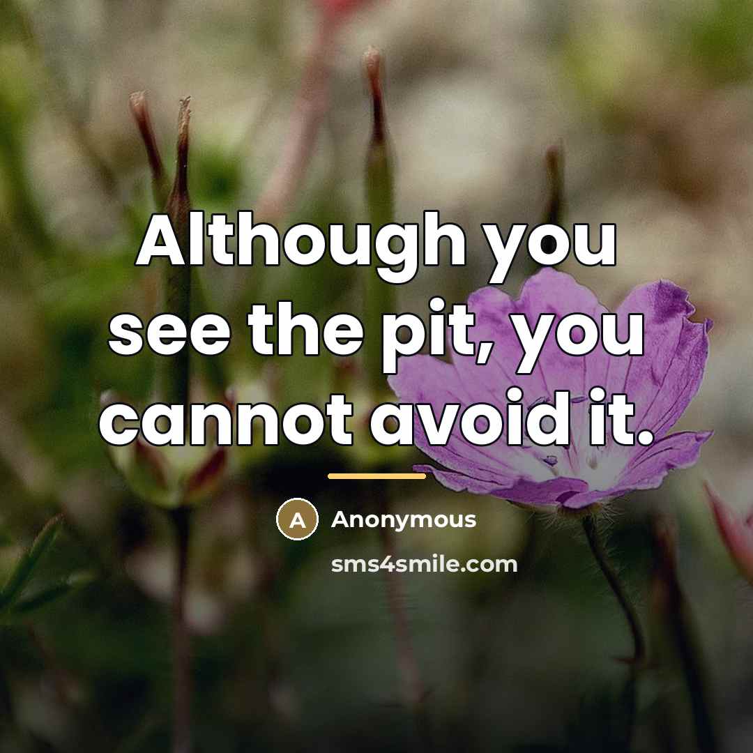 “Although you see the pit, you cannot avoid it.…” quote by Anonymous