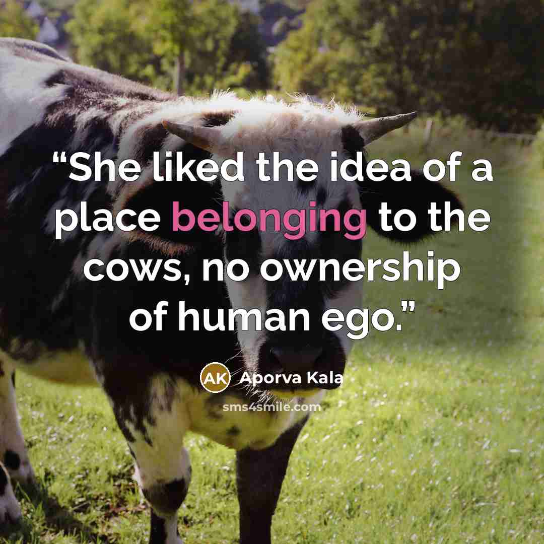 “She liked the idea of a place belonging to the cows, no ownership of human ego.” quote by Aporva Kala
